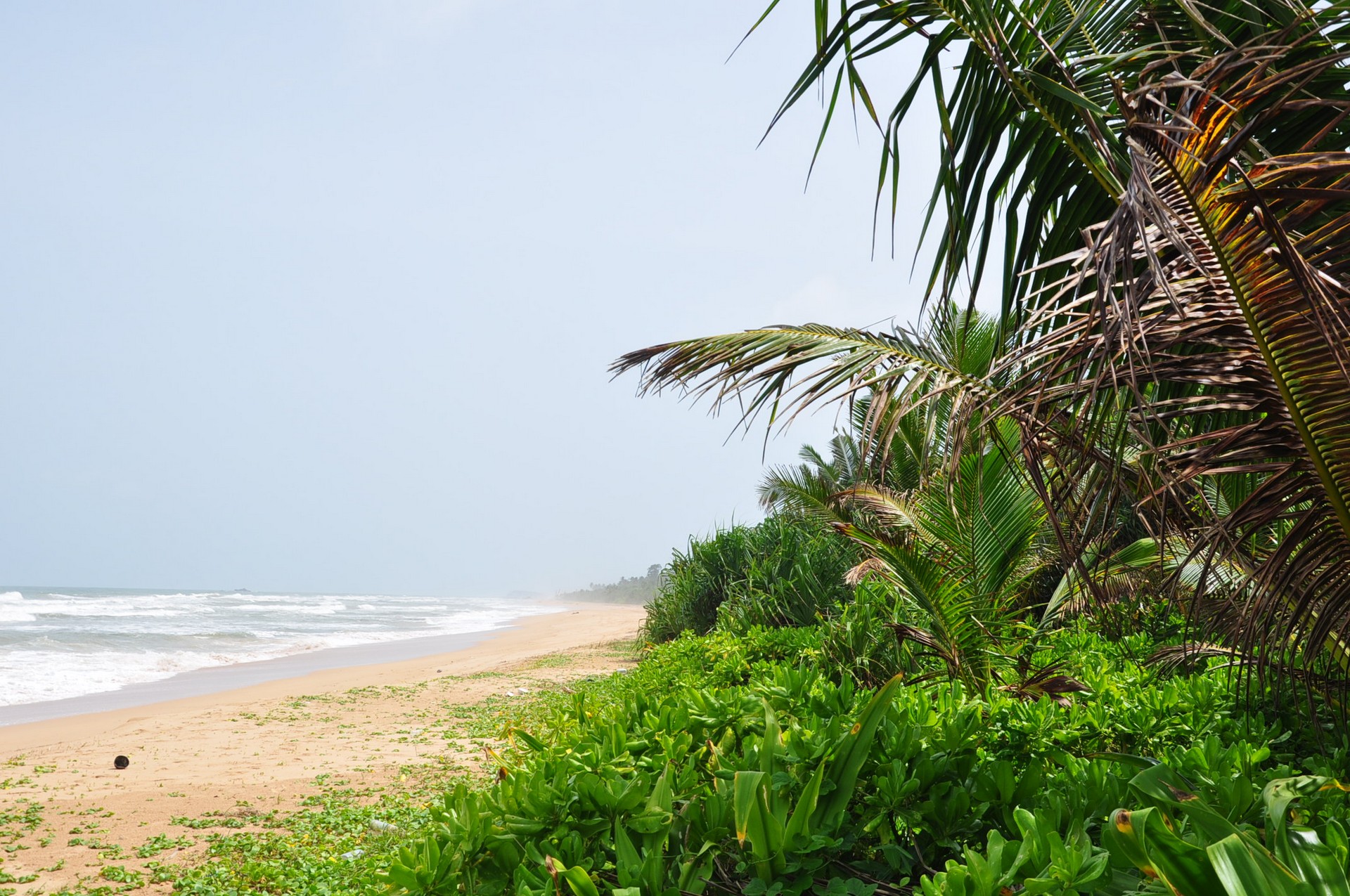 Tour_packages_ in_ Sri Lanka