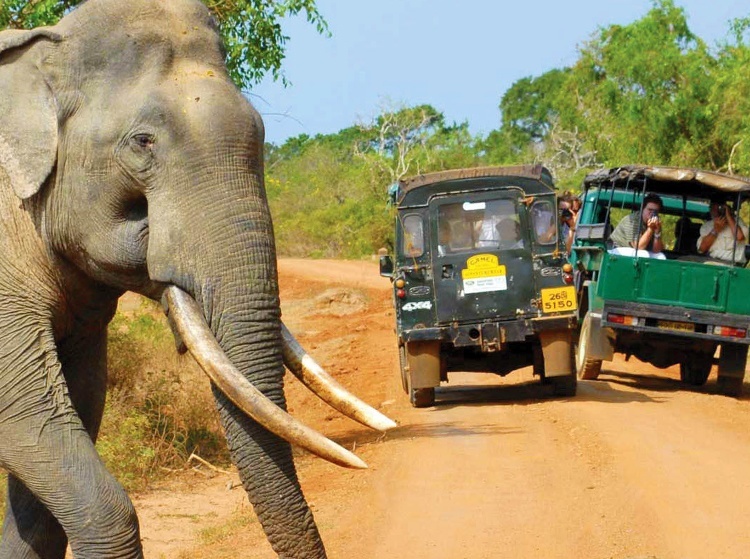 sri lanka_tour_packages